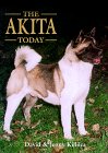 White akita puppies for sale in texas