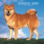 Shiba Inu Calendar 2007