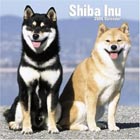 Shiba inu calendar 2006