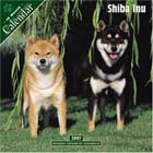 Shiba Inu Wall Calendar 2007